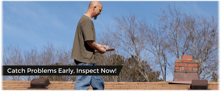 Chimney and Fireplace Inspection Birmingham